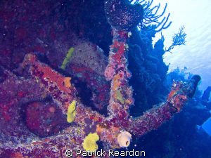 Anchor seen in Turks and Caicos while diving aboard the A... by Patrick Reardon 